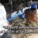 Disastro-ambientale-nei-boschi-di-Sa-Spendula