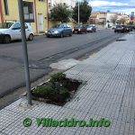 AIUOLE STEFANO VACCA_15112017405